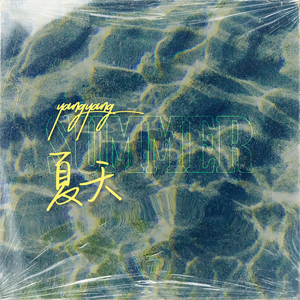 厨房脱岳裙子从后面挺进去
