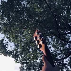 厨房脱岳裙子从后面挺进去
